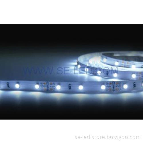 Single Color CE ROHS FCC IP65 Wam White 12V Fita LED